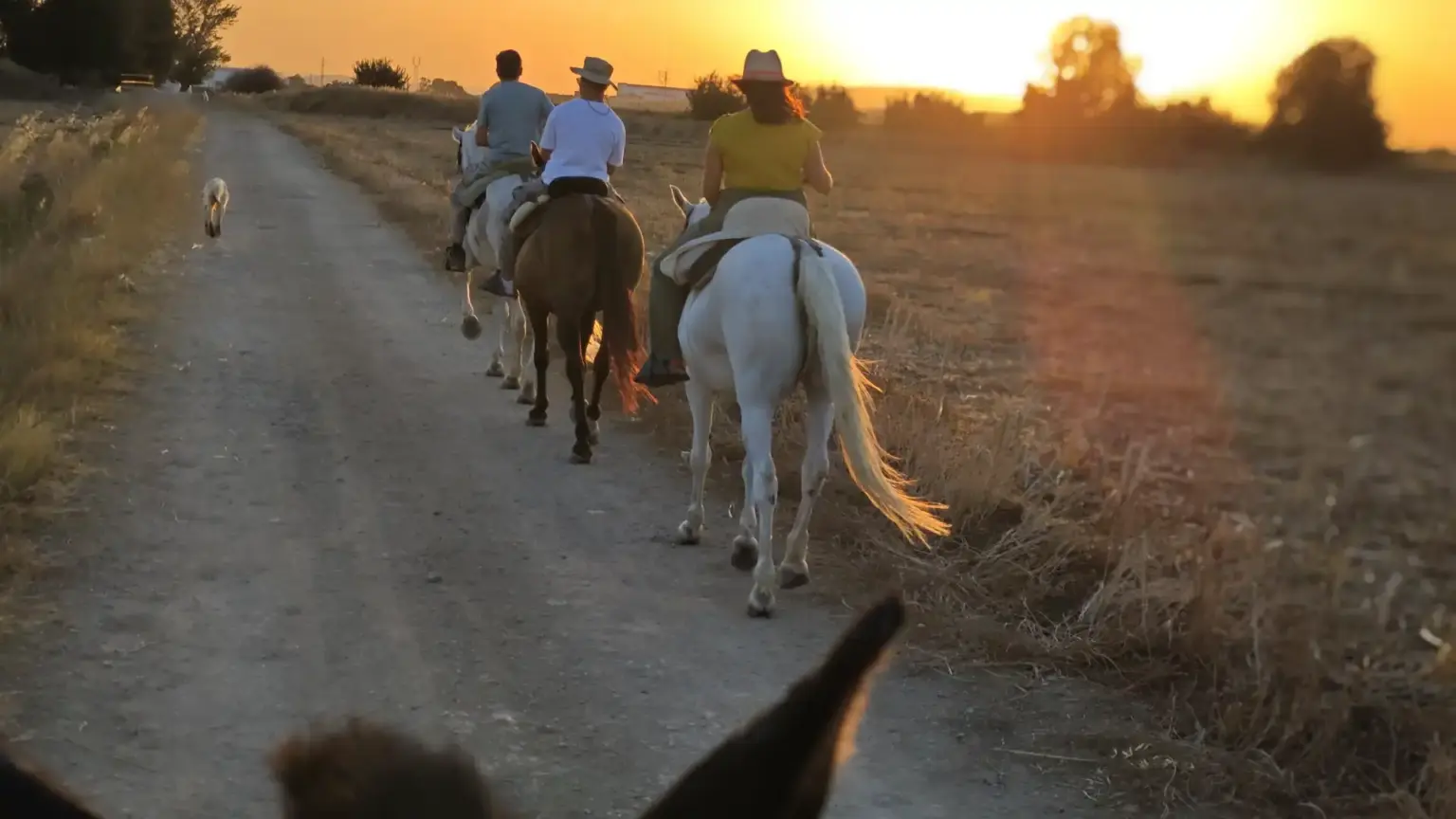 Grupo familiar montando a caballo en una experiencia ecuestre guiada por profesionales en Málaga.