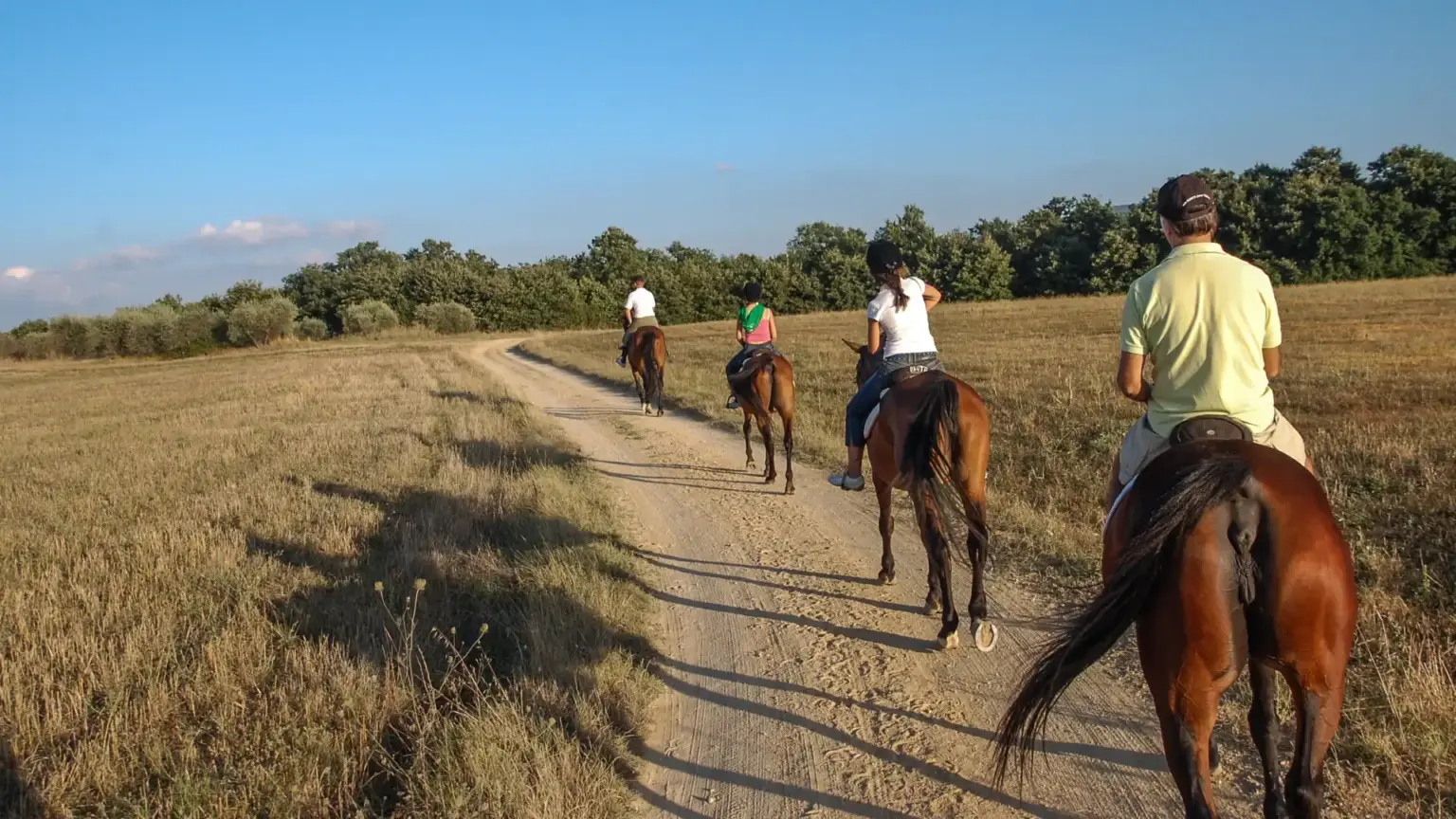 Caballos nobles de La Vega Equitación recorriendo campos abiertos en rutas seguras y llanas.